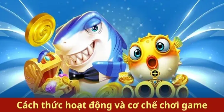 Cách Chơi Bắn Cá Royal Fishing Tại 777Loc Hiệu Quả Nhất