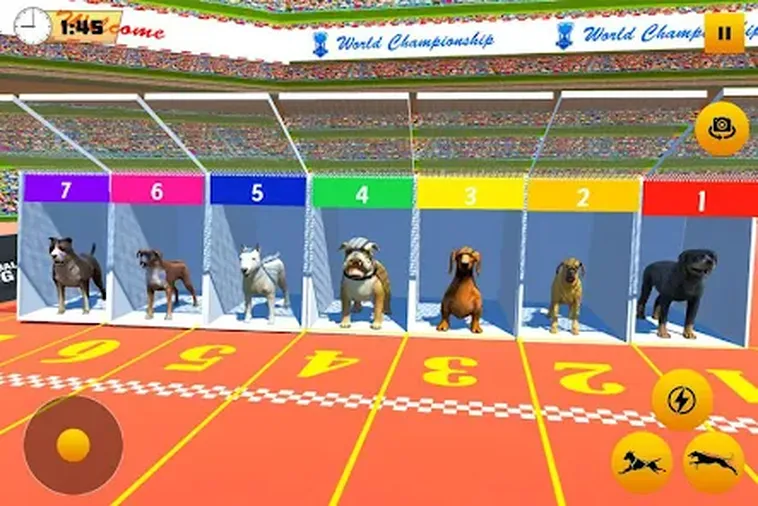 Cách Chơi Game Nhanh Đua Chó Tại 777Loc Để Tăng Cơ Hội Thắng