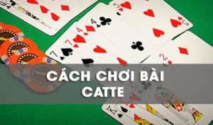Cách Chơi Sắc Tê Nhà Cái 777Loc Dễ Thắng Cho Người Mới