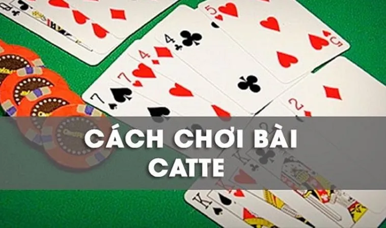 Cách Chơi Sắc Tê Nhà Cái 777Loc Dễ Thắng Cho Người Mới
